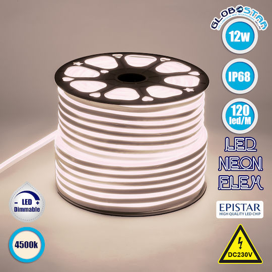 GloboStar Αδιάβροχη Ταινία LED 220V Φυσικό Λευκό Φως 1m Neon Flex