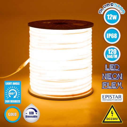 GloboStar Wasserdicht LED-Streifen 220V Warmes Weiß Licht 1m Neon Flex mit Netzteil