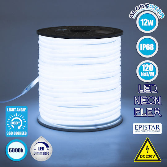 GloboStar Αδιάβροχη Ταινία LED 220V Ψυχρό Λευκό Φως 1m Neon Flex