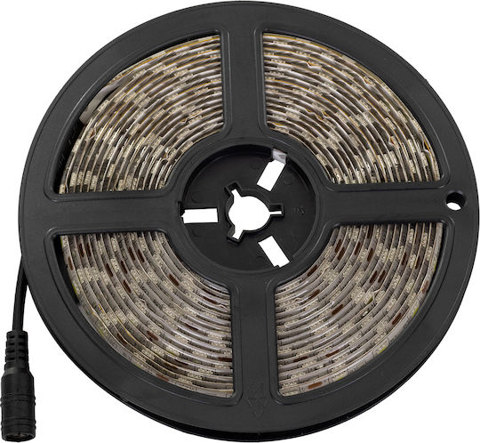 GloboStar Waterproof LED Strip 12V Cold White Light 5m Type SMD5050 with Power Supply & Remote Control