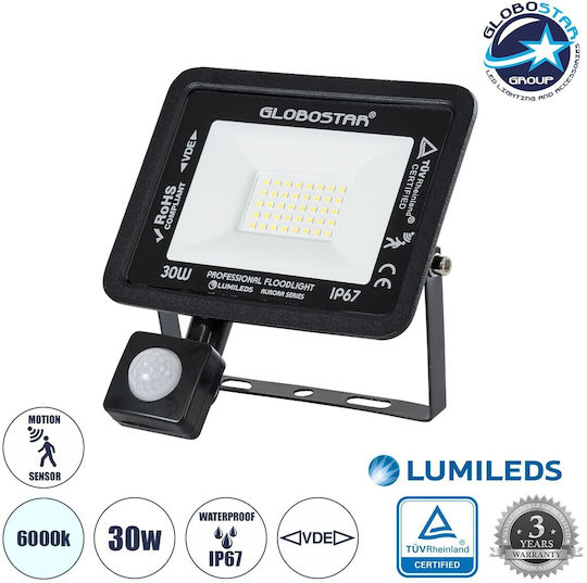 GloboStar Aurora Waterproof LED Floodlight 30W Cold White 6000K with Motion Sensor IP67