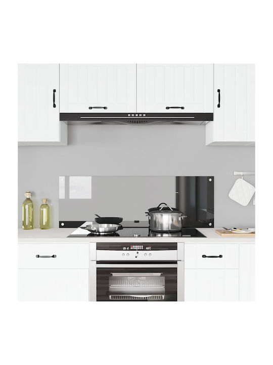 vidaXL Rectangular Glass Back Dark Gray 120x40x0.6cm 42001313