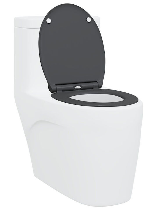 vidaXL Plastic Soft Close Toilet Seat Gray 37.5cm 42002362