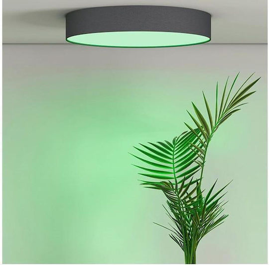 Calex Rund LED Panel 14W mit RGB Beleuchtung