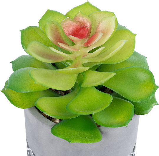 Globostar? Artificial Garden Succulent Sedeveria 21095 Διακοσμητικό Φυτό Παχύφυτο Σεντεβέρια Υ17cm