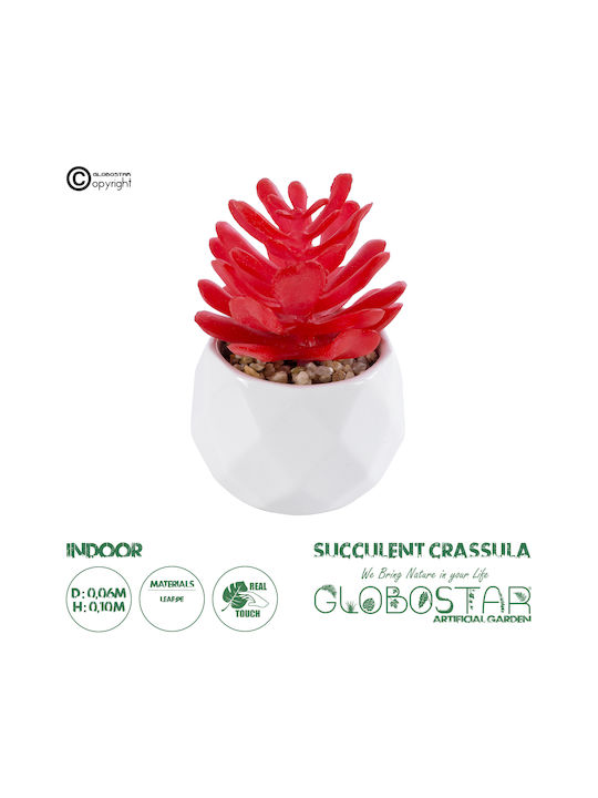 Globostar? Artificial Garden Succulent Crassula 20985 Decorative Plant Succulent Crassula H10cm