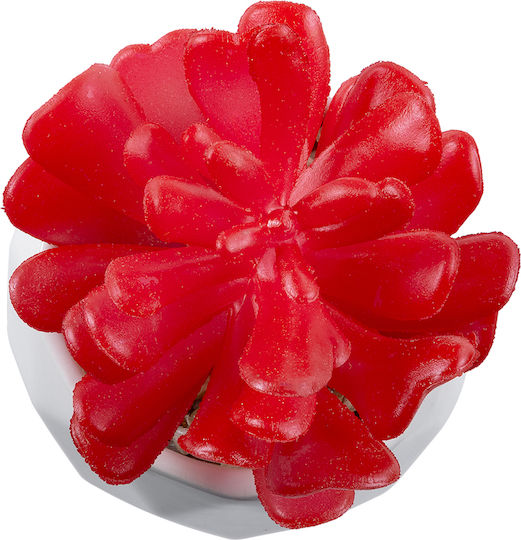 Globostar? Artificial Garden Succulent Crassula 20985 Decorative Plant Succulent Crassula H10cm