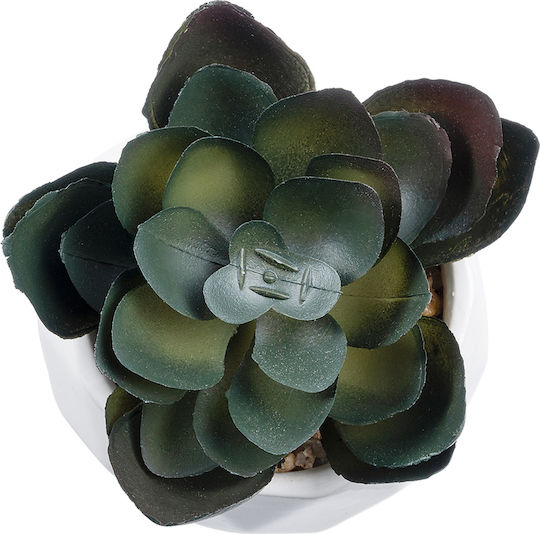 Globostar Artificial Garden Succulent Echeveria 20990 Decorative Plant Succulent Echeveria H8.5cm