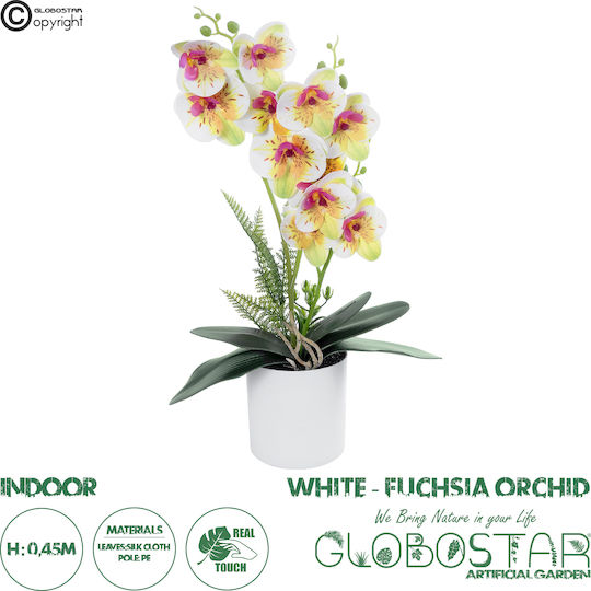 Ορχιδέα σε Γλάστρα Λευκό Φούξια 45cm GloboStar
