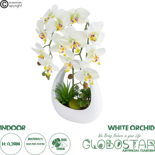 Globostar Artificial Garden White Orchid 21128 Decorative Plant White Orchid H39cm