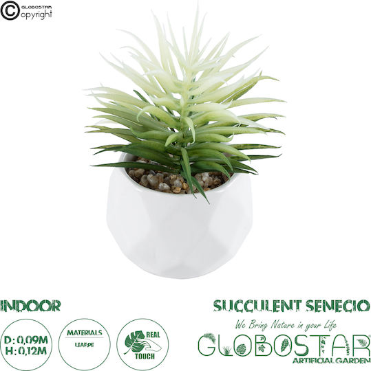 Globostar Künstlicher Garten Sukkulente Senecio 20997 Dekorative Pflanze Sukkulente Senecio H12cm