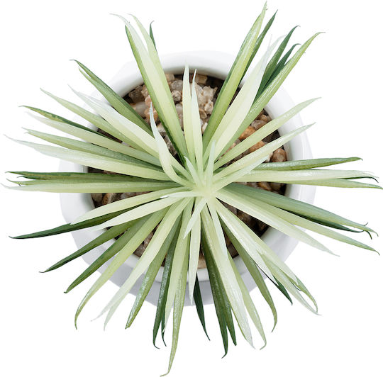 Globostar Künstlicher Garten Sukkulente Senecio 20997 Dekorative Pflanze Sukkulente Senecio H12cm