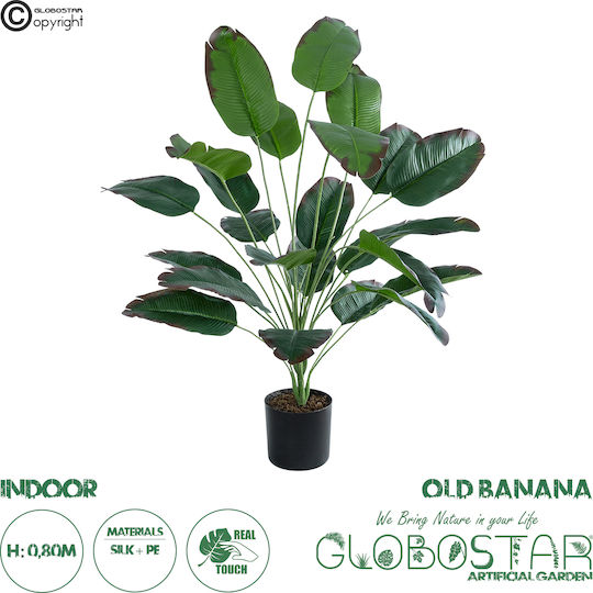 Globostar Grădină Artificială Banană Veche 20917 Plantă Decorativă Copac de Banane Matur H80cm