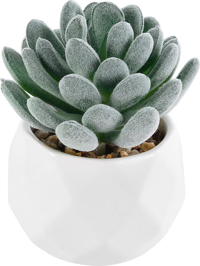 Globostar Künstlicher Garten Sukkulente Sedeveria 21001 Dekorative Pflanze Sukkulente Sedeveria H9,5cm