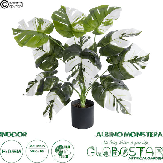 Globostar? Artificial Garden Albino Monstera 20935 Διακοσμητικό Φυτό Λευκή Μονστέρα Υ55cm
