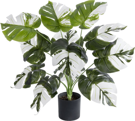 Globostar? Artificial Garden Albino Monstera 20935 Διακοσμητικό Φυτό Λευκή Μονστέρα Υ55cm