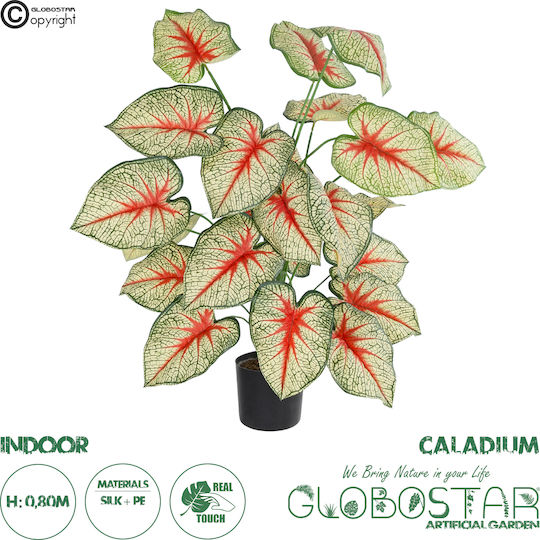 Globostar Künstlicher Garten-Kaladium 20921 Dekorative Kaladium-Pflanze H80cm