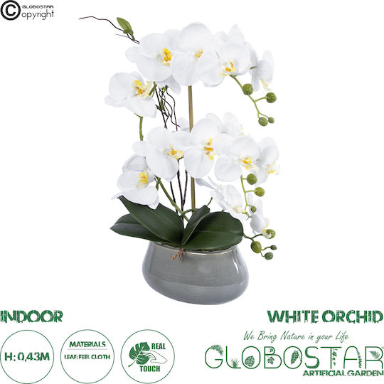 Globostar Künstliche Garten Weiße Orchidee 21120 Dekorative Pflanze Weiße Orchidee H43cm