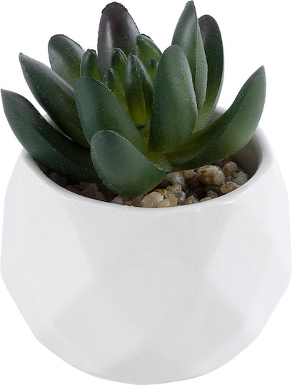 Globostar Künstliche Garten Sukkulente Crassula 20979 Dekorative Pflanze Sukkulente Crassula H9cm