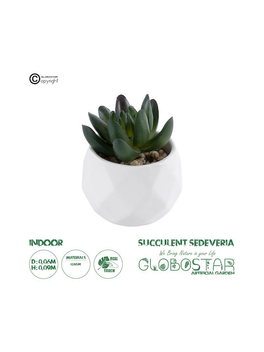 Globostar Artificial Garden Succulent Crassula 20979 Decorative Plant Succulent Crassula H9cm