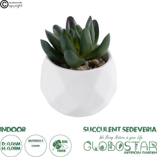 Globostar Künstliche Garten Sukkulente Crassula 20979 Dekorative Pflanze Sukkulente Crassula H9cm