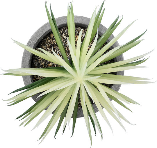 Globostar? Artificial Garden Succulent Senecio 21024 Διακοσμητικό Φυτό Παχύφυτο Σενέκιο Υ12cm