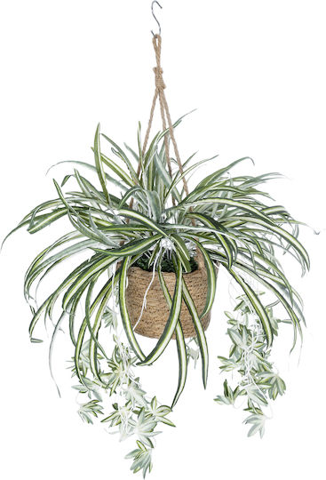 Globostar? Artificial Garden Chlorophytum Comosum Hanging Plant 20638 Τεχνητό Κρεμαστό Διακοσμητικό Χλωρόφυτο Y50cm