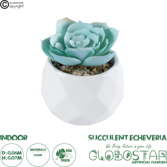 Globostar Artificial Garden Succulent Echeveria 20996 Decorative Plant Succulent Echeveria H7cm