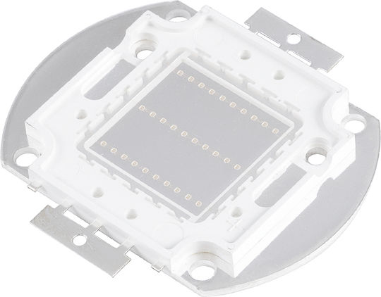 GloboStar LED 30 Watt Verde 1 Bucată 73770