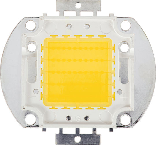GloboStar LED 50W Θερμό Λευκό 1τμχ 73765