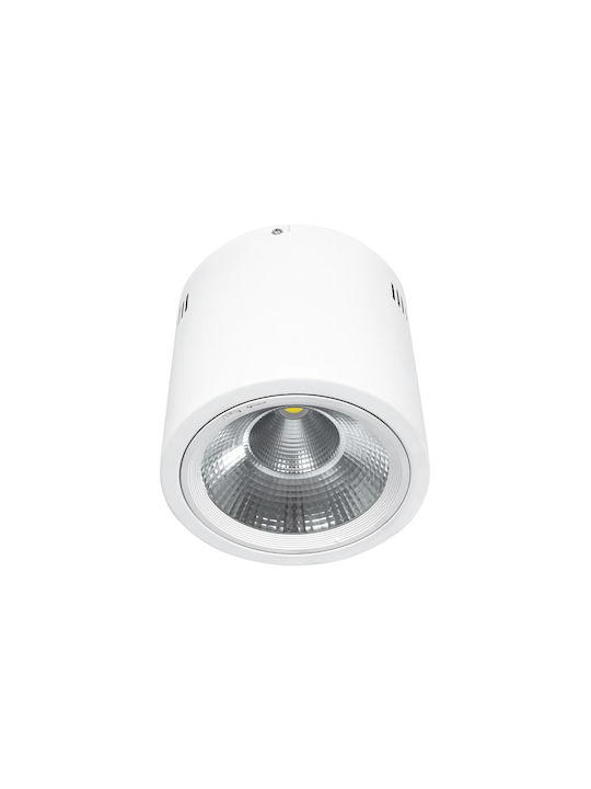 GloboStar Единично LED Студено бяло Спот в Бял Цвят