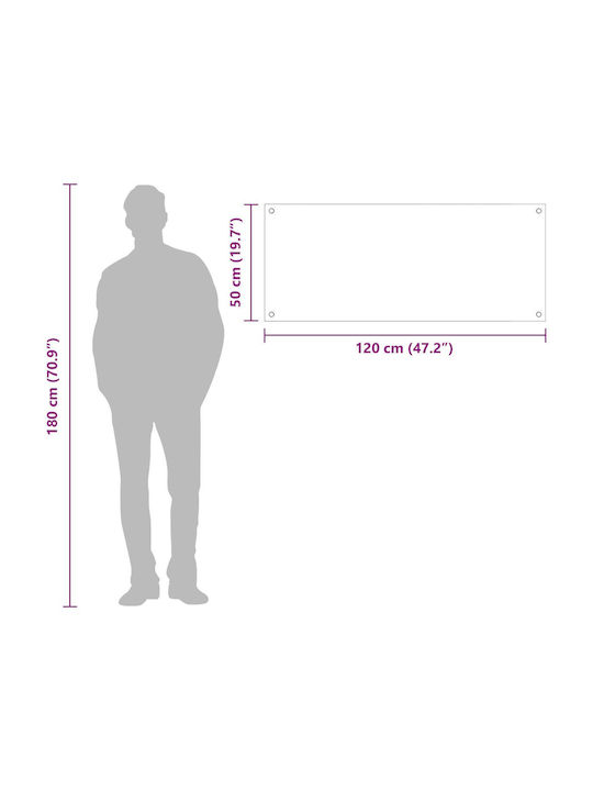 vidaXL Πλάτη από Γυαλί 120x50x0.6cm 42001314