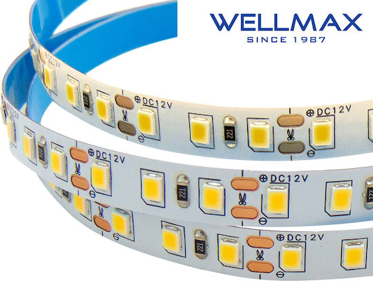 Wellmax LED Strip 12V Cold White Light 1m Type SMD2835