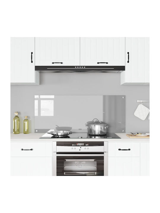 vidaXL Rectangular Back Made of Glass Light Gray 120x50x0.6cm 42001308
