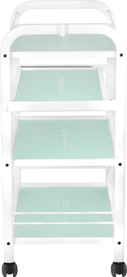 Giovanni Hair Salon Maintenance Cart
