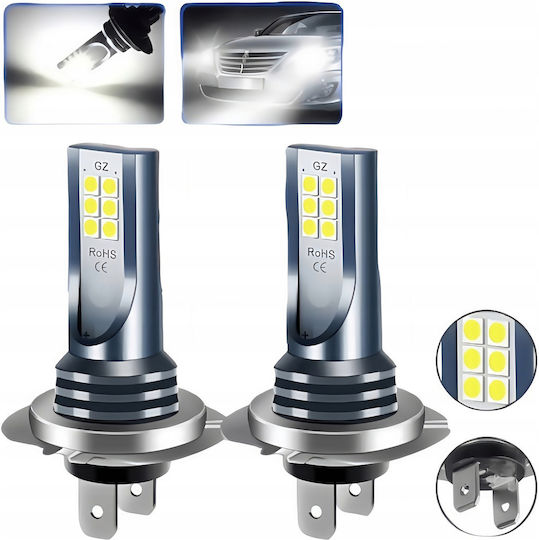 Interlook Λάμπες Αυτοκινήτου H7 Canbus LED 6500K Ψυχρό Λευκό 100W 2τμχ
