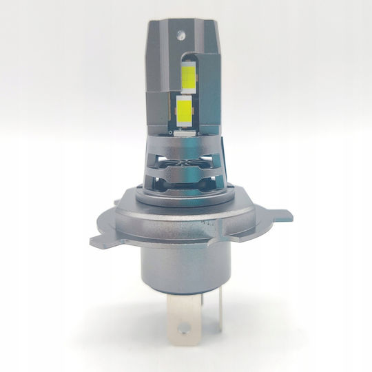 Interlook Λάμπες Αυτοκινήτου H4 Canbus LED 6000K Ψυχρό Λευκό 80W 2τμχ