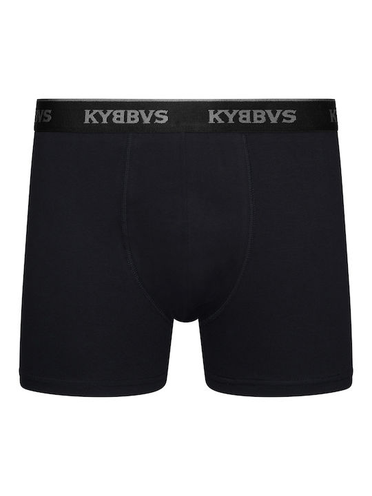 Kybbvs