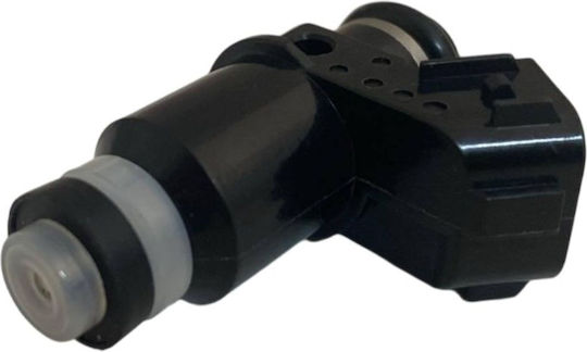 Fuel Injector Sym Gts 250cc-300cc Efi Citycom 300cc Cbs Roc121655