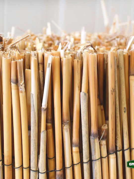 Grasher Bamboo Fencing with Whole Reed 1x5m