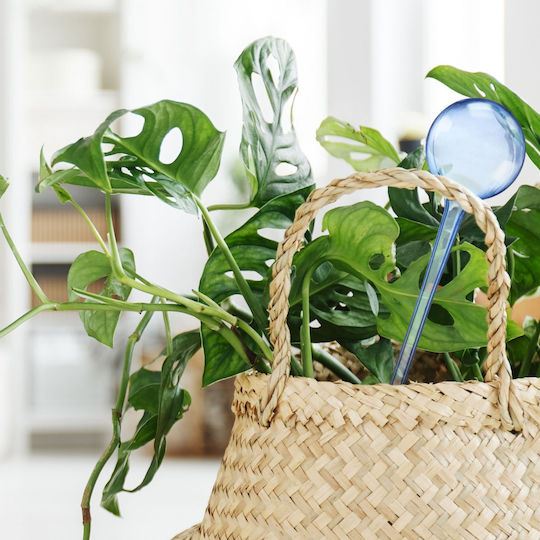 Set 9 Plant Watering Distributors Blue Clear Size 28 Cm Relaxdays