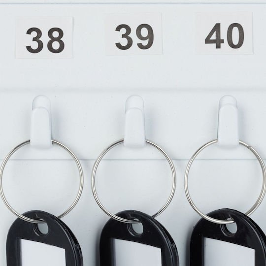 Metal Key Holder Storing 48 Keys Keychains Dimensions 25 X 18 X 7.5 Cm White Relaxdays