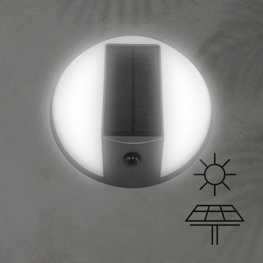 Eurolamp Wall Mounted Solar Light 5W 500lm with Natural White Light 4000K IP54