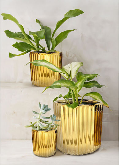 InTheBox Plant Pot Ceramic Gold
