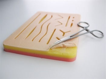 Skin Suturing Training Manikin Various Designs