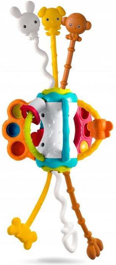 Rk-750 Ricokids Sinnes-Spielzeug