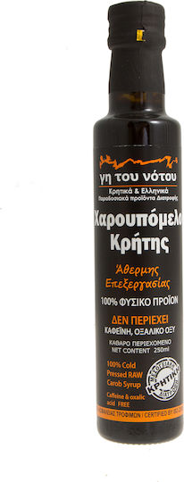 Natural Path Χαρουπόμελο 250ml