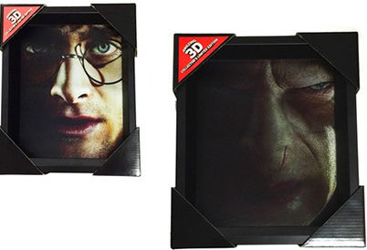 Pyramid International Harry vs Voldemort Frame Plastic 20x26cm
