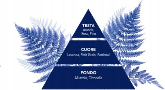 Felce Azzurra Classico 1x1l