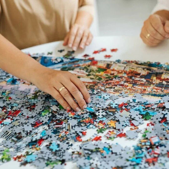 Valley Puzzle 2D 1000Stk.